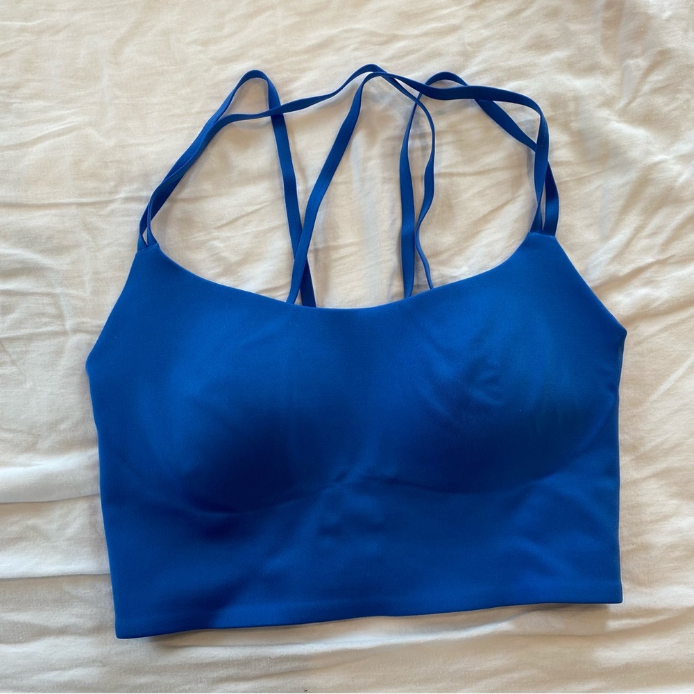 Aerie Blue Sports Bra